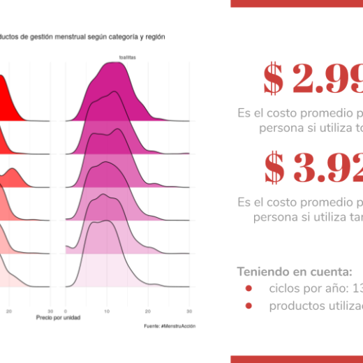 ¿Cuánto cuesta menstruar?