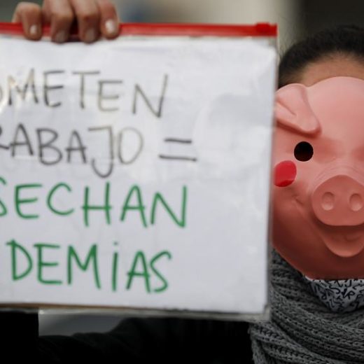 Un Green New Deal para discutir…
